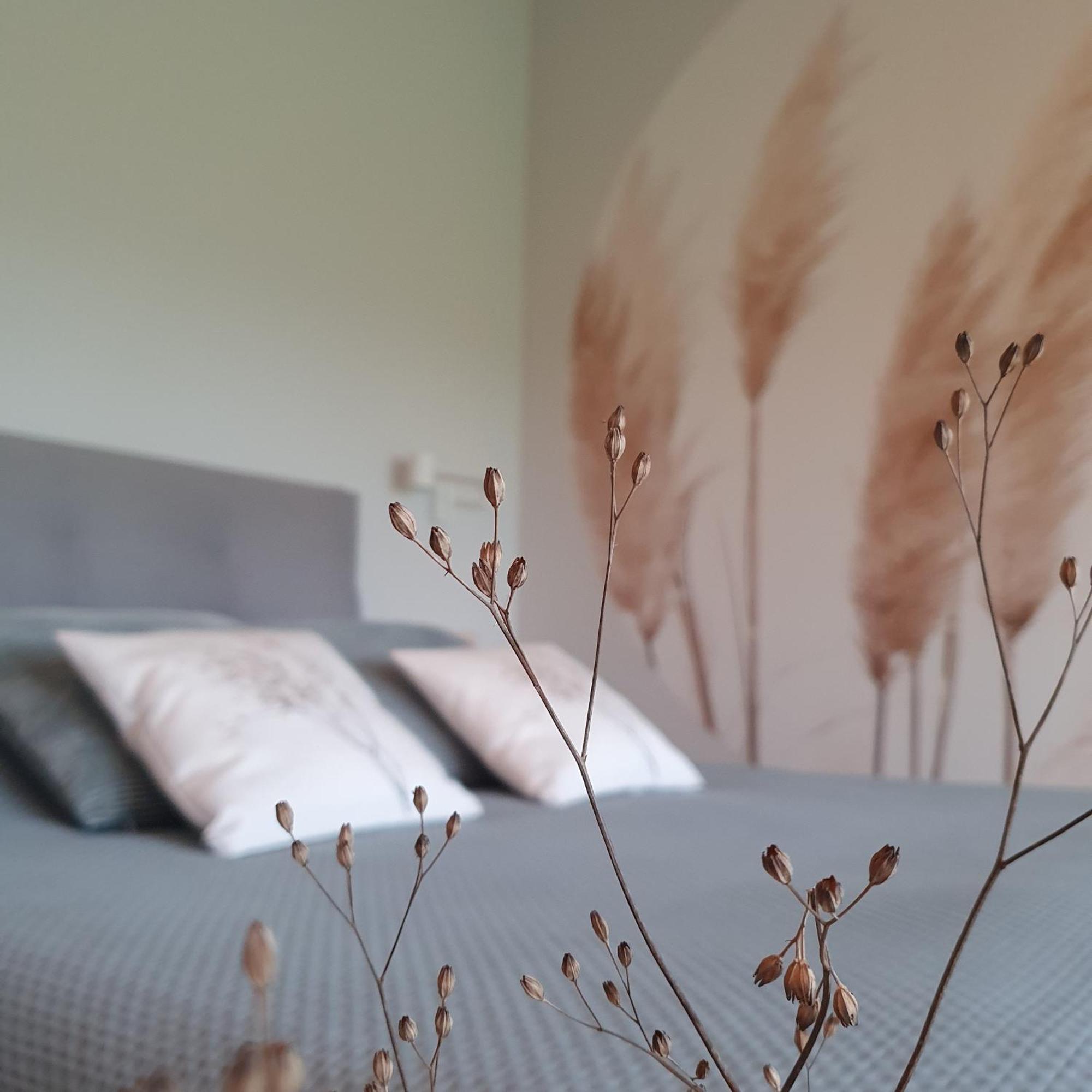De Buorkerij Bed & Breakfast Tytsjerk Eksteriør bilde